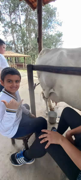Bicho Mania 2022